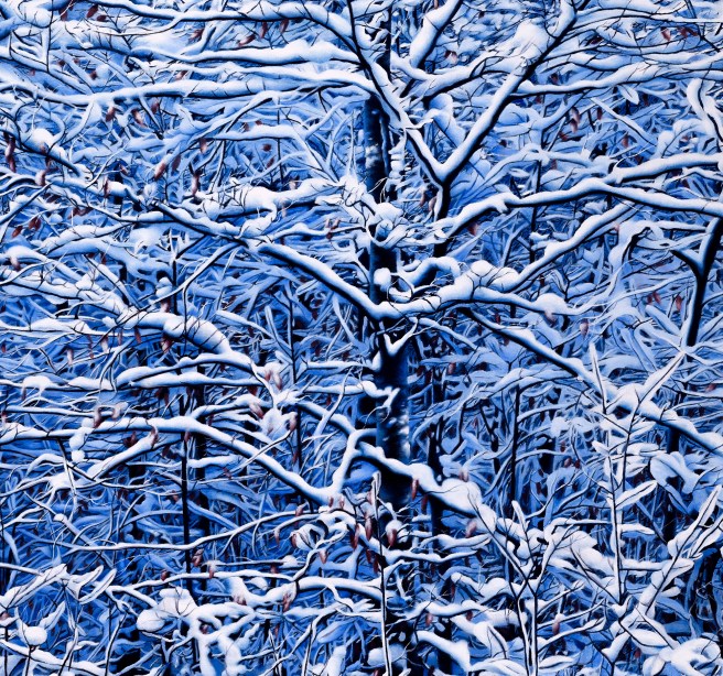 Ten Thousand Branches_Final_Detail_E