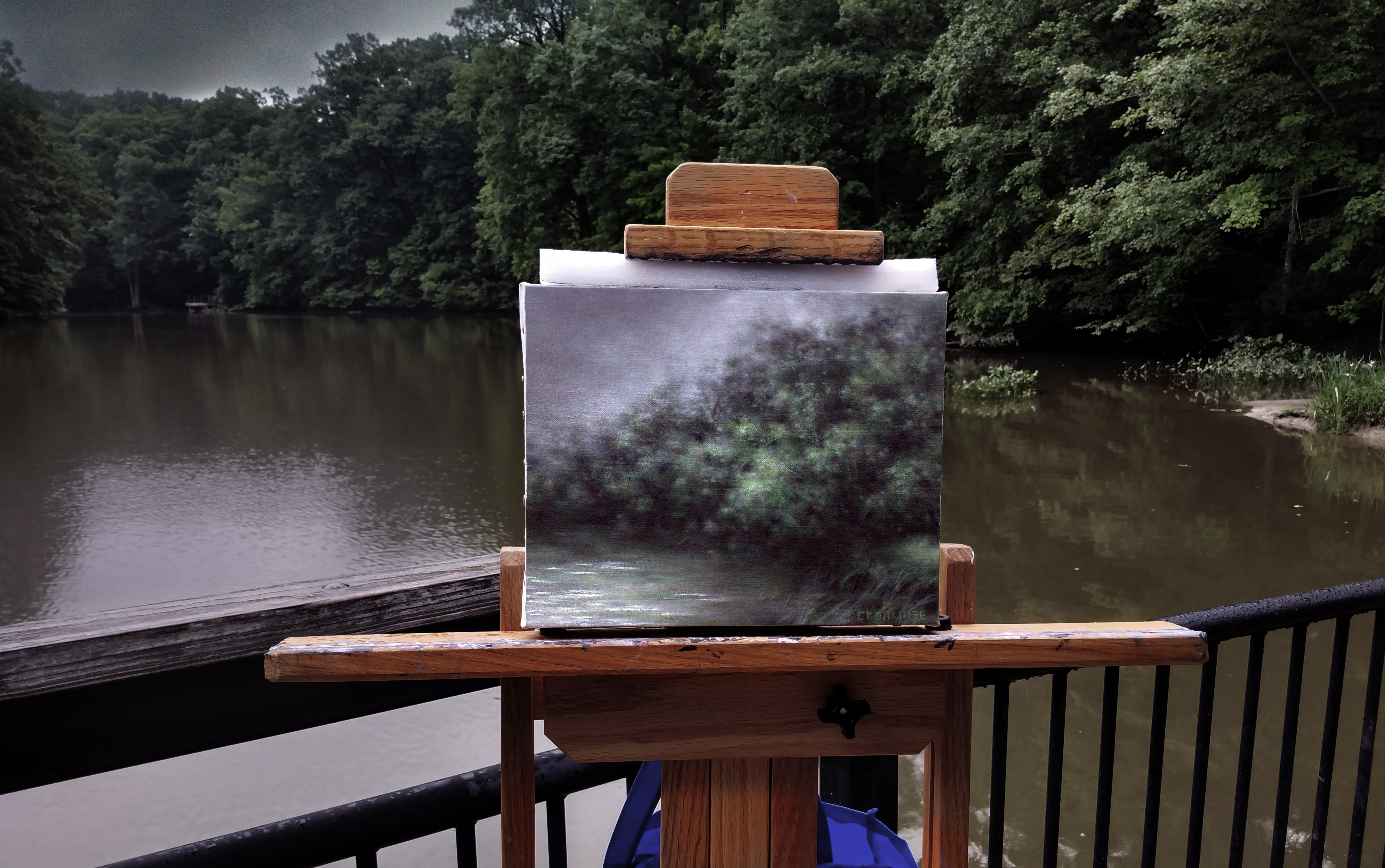 Misty Rain Over Carpenter Lake_On Site