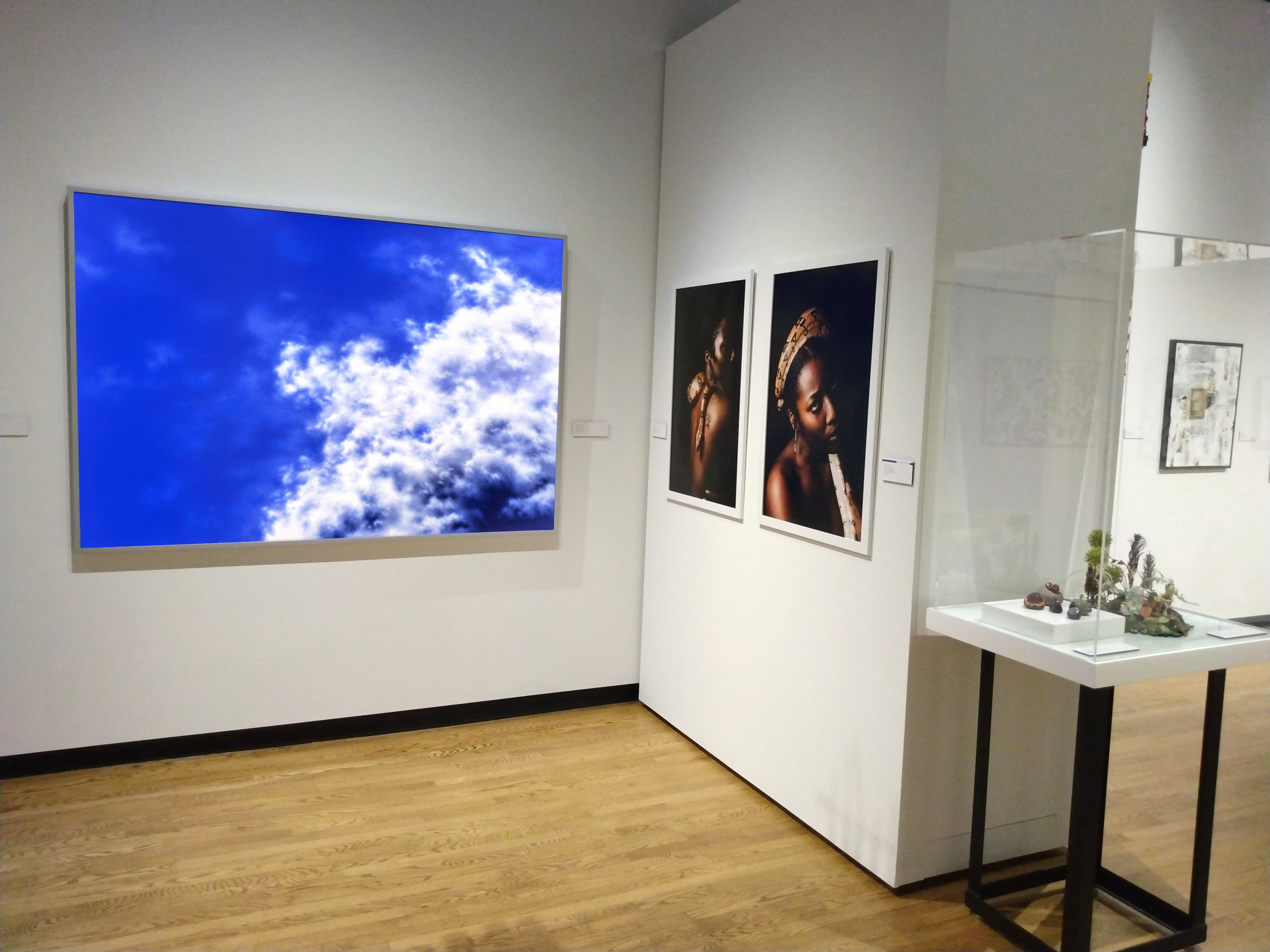 Muskegon Museum of Art Galley View